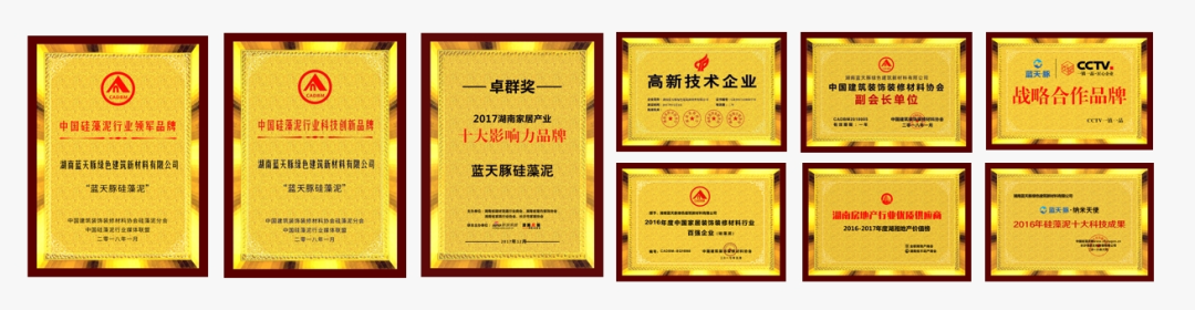 喜报！蓝天豚成功入选2024年第一批国家级科技型中小企业(图7)