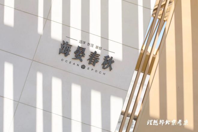 没有石材的成本但要石材的效果？这三种涂料了解一下