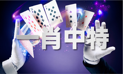 2024澳门正版资料老玩家