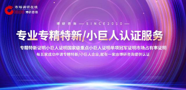 2024-2030全球及中国气溶胶标记涂料行业研究十五五规划分析报告