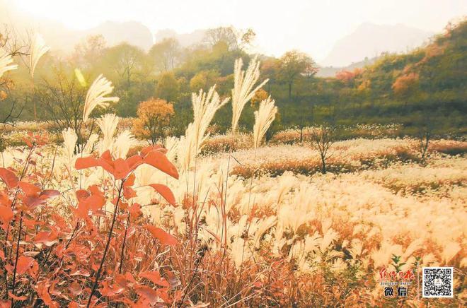 龙佰集团：创领“钛”美生活做受尊敬企业(图13)
