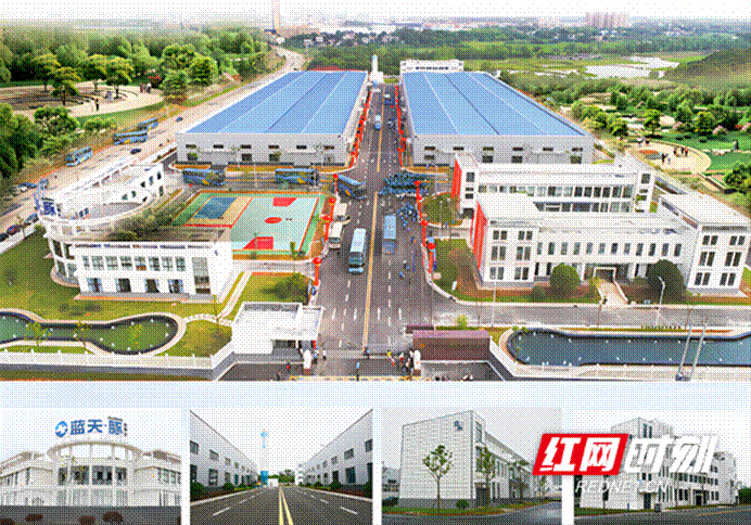 解密“金煌现象”：家装转型的逆势增长之道(图3)