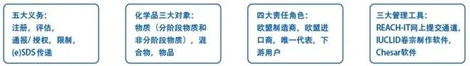 展辰巴德士东方雨虹美俪嘉等这些企业在推动2025全球化进程(图7)