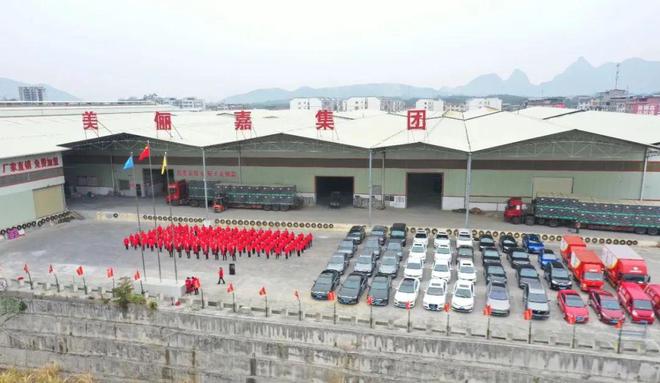 展辰巴德士东方雨虹美俪嘉等这些企业在推动2025全球化进程(图5)