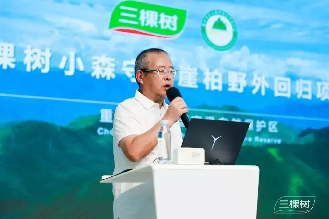 三棵树小森板战略升级开启健康美学家居空间新时代(图8)