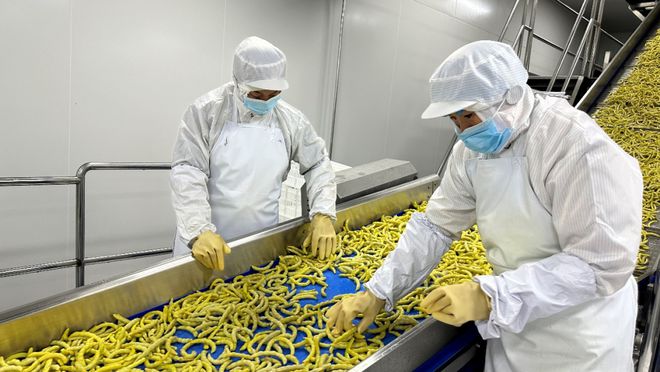 从“靠天吃饭”到“按需种菜”！梅里斯这家企业让黑土地长出“定制化”财富(图4)