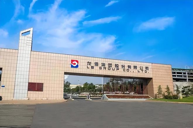 2025中国民营企业500强：广州美涂士、东方雨虹、龙佰集团上榜(图6)