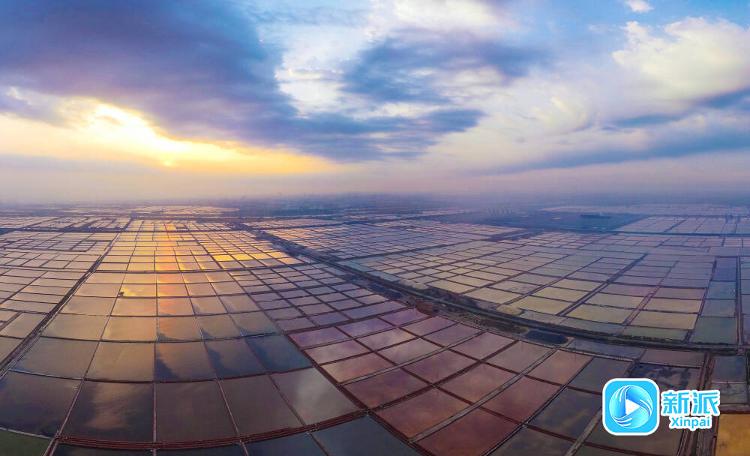 走在前挑大梁·海上新山东丨潍坊打造经略海洋的产业“新高地”