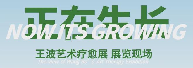 球盟会：“正在生长——王波艺术疗愈展”开幕暨学术交流会(图8)