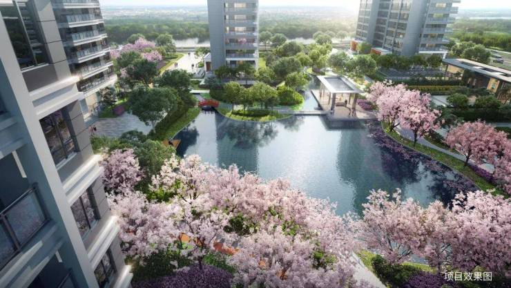 苏州高铁新城日系大宅和风雅信和风雅信怎么样？楼盘评测-户型-位置-双500强-最新动态-价格(图3)