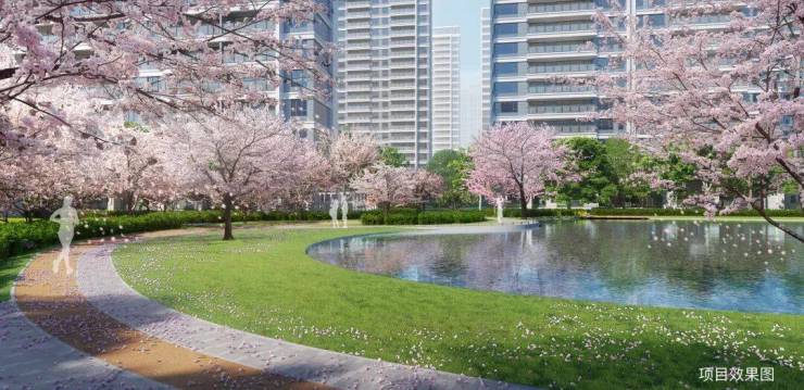 苏州高铁新城日系大宅和风雅信和风雅信怎么样？楼盘评测-户型-位置-双500强-最新动态-价格(图4)