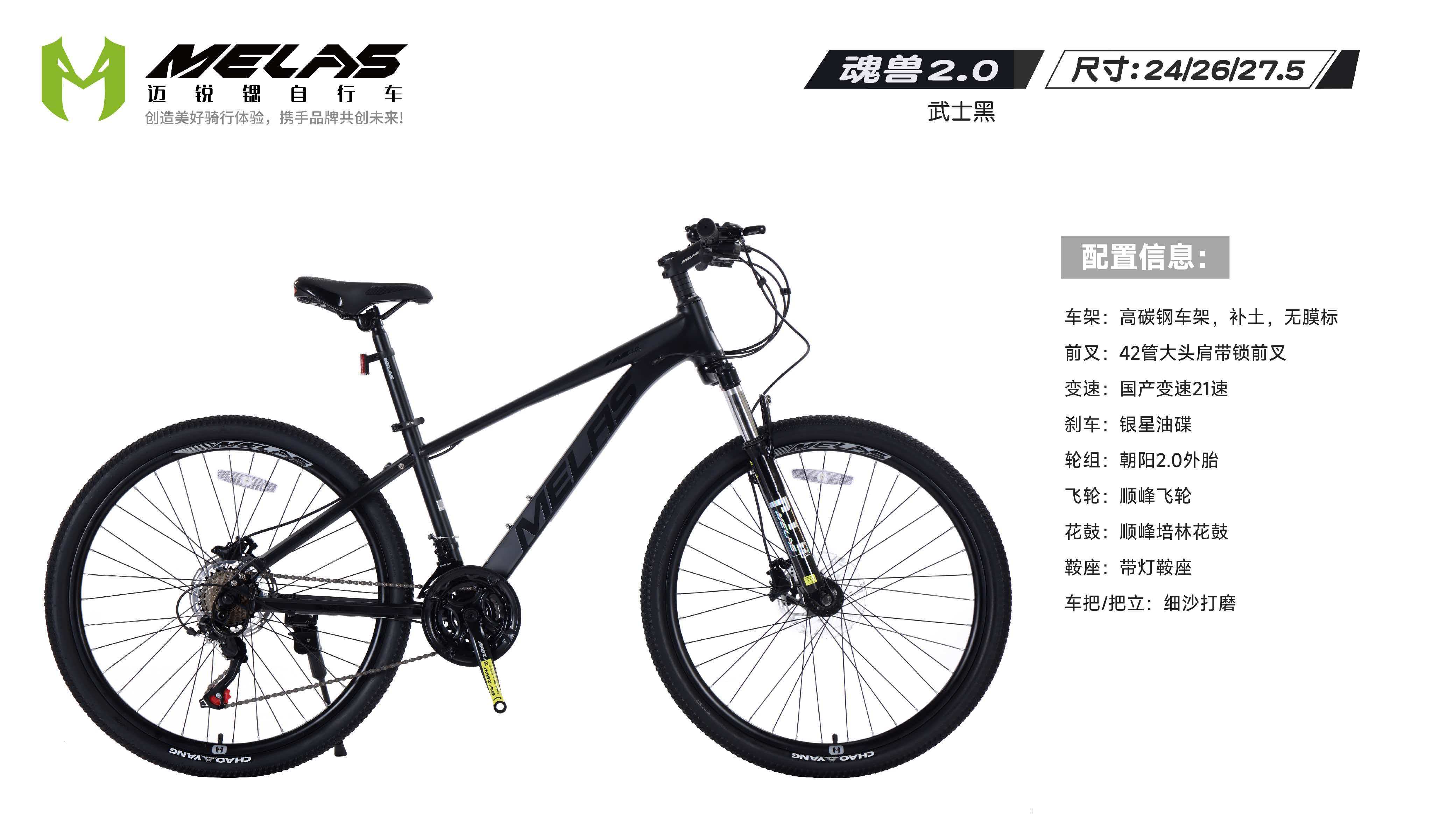 球盟会网页：2026年天津自行车厂家综合选购与行业分析指南(图2)