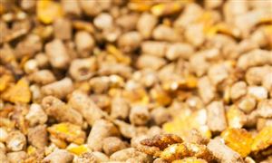 球盟会网页：行业经济_中研普华行业研究网(图15)