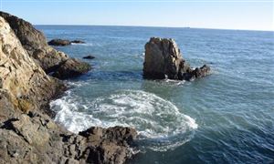 球盟会网页：中国粉末涂料行业市场发展分析2023(图3)